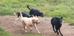 Play time