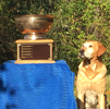 2019 WRC Cup Winner