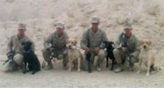 Gun dog training.