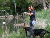 Storm's Ahead Kennels AKC Junior Level training courses.